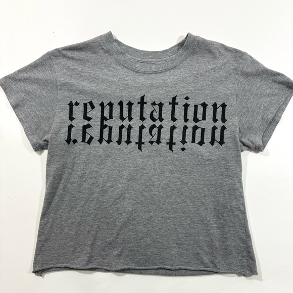 Taylor Swift Reputation Crop Tee Shirt Grey Size Medium - Picture 1 of 6